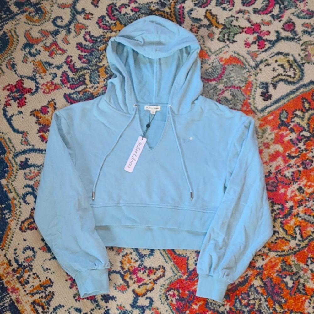 For Love & Lemons 🍋  Cropped Hoodie